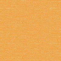 dsSTELLA-1150-MARIGOLD