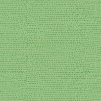 dsSTELLA-1150-KIWI