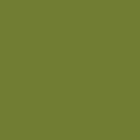mfC835901-OLIVE