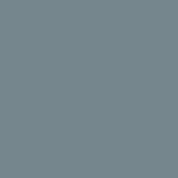 mfC835901-SLATE