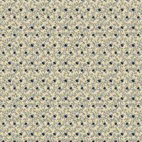 mfR312179D-Sky