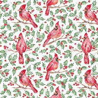 shnqcckcardinaljoymulti