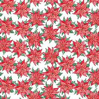 shnqcckpoinsettascardinal