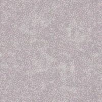 hg2955-52