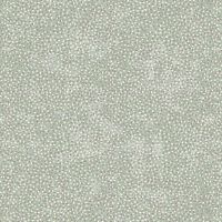 hg2955-61