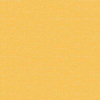 dsSTELLA-1150-FREESIA