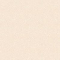 dsSTELLA-DRR2293-SHELL