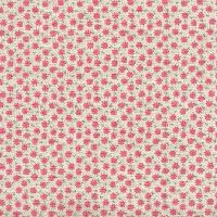 nc49480-Pink1