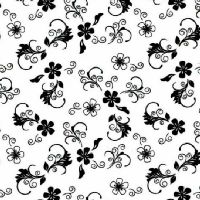 nc49111-Black