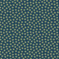 dsStella-D3427-Iris