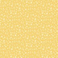 mfR462319D-Maize