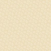 mfR112342D-Cream