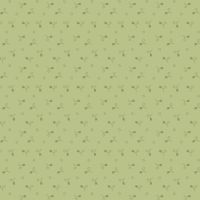mfR262363D-Sage