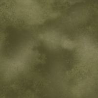 mfR522289D-Olive