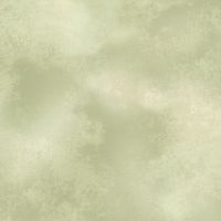 mfR522289D-Sage