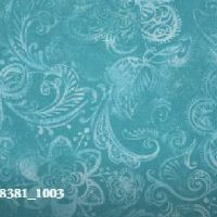 nc48381-1003