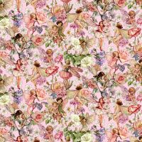mmDDC13364-BLOSSOM