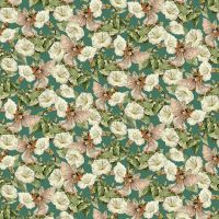 mmDDC13365-CLOVER
