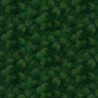 mmDCX13360-SPRUCE