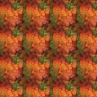 cc16260104-01