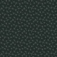 se3081-98