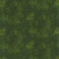 ttKim-C6100-FOREST