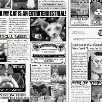 ttCAT-C6705-NEWSPRINT