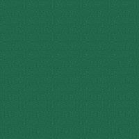 ft19095-G