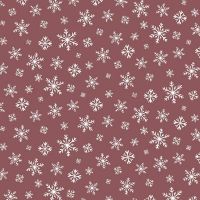 3WI25084-BRY-CTN-D
