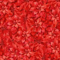 3WI25076-RED-CTN-D
