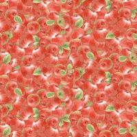 3WI25090-RED-CTN-D