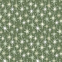 3WI25112-GRN-CTN-D