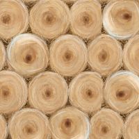 3WI25158-TAN-CTN-D
