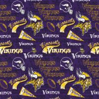 Minnesota Vikings - 44/45