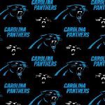 Carolina Panthers - 58/60