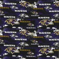 Baltimore Ravens - 44/45