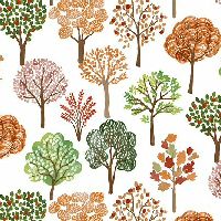 shndcleafylaneautumn