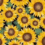 Sunflower Digital Cuddle