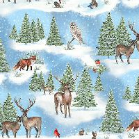 shndcwinterglenblue