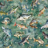 shnhfdcfishtossmoss