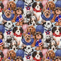 Paws For America
