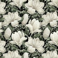 shnccmagnoliasnatural