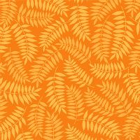 mmCX11137-Orange