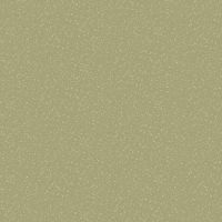 dsSTELLA-D2857-SAGE