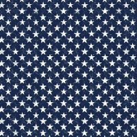 ttGAIL-CD2226-NAVY