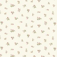 mfR021397D-Cream