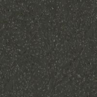 mfR541034D-Black