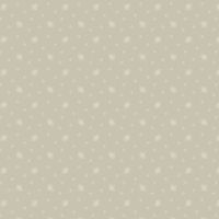 mfR541037D-Silver