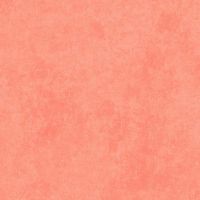 MASF513-CP3 Salmon