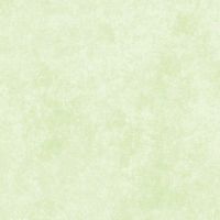 MASF513-GW2 Julep Mint
